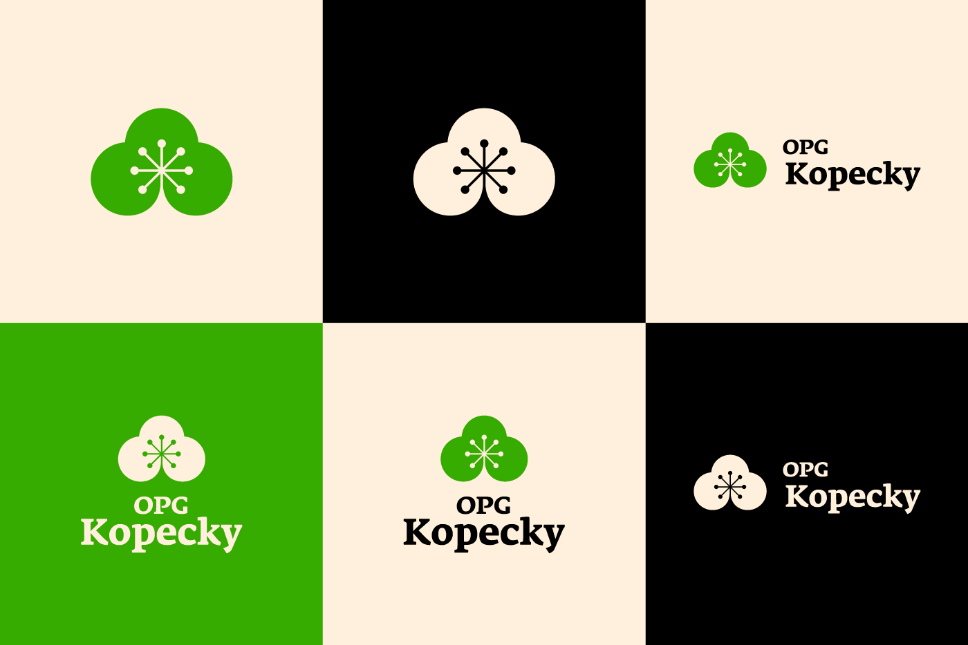 02-logo-varijacije02.jpg
